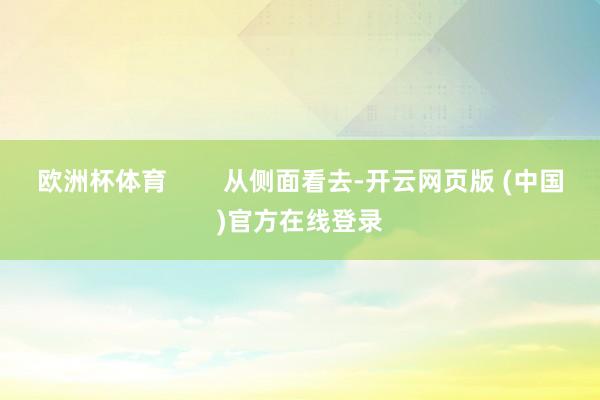 欧洲杯体育        从侧面看去-开云网页版 (中国)官方在线登录