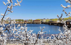 从日常糊口的穿衣、洗漱、用